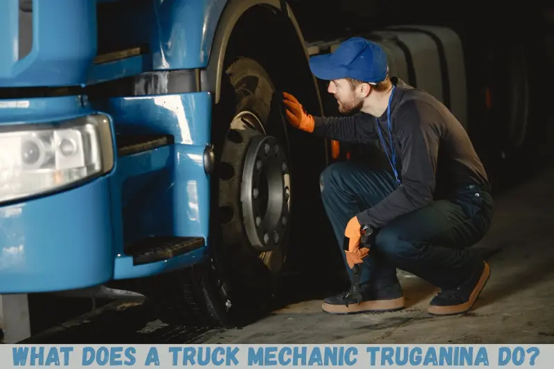 what does a truck mechanic truganina do